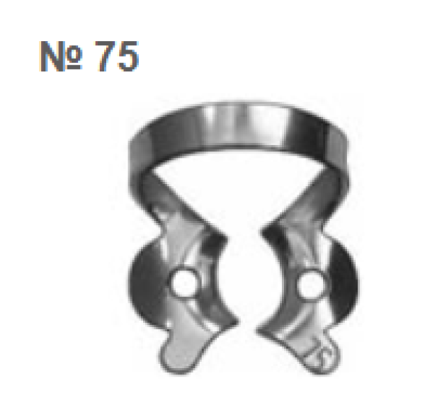 Képernyőkép 2025-08-12 114106